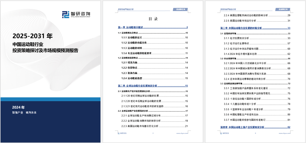 投资前景研究报告（2025-2031年）新利体育网页版中国运动鞋行业发展现状及(图5)